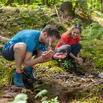 Strandhotel Schabus 3*